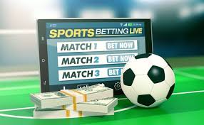 All You Need to Know About 1xbet A Comprehensive Guide