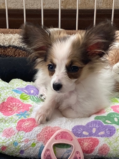 Thumbnail of post image 143